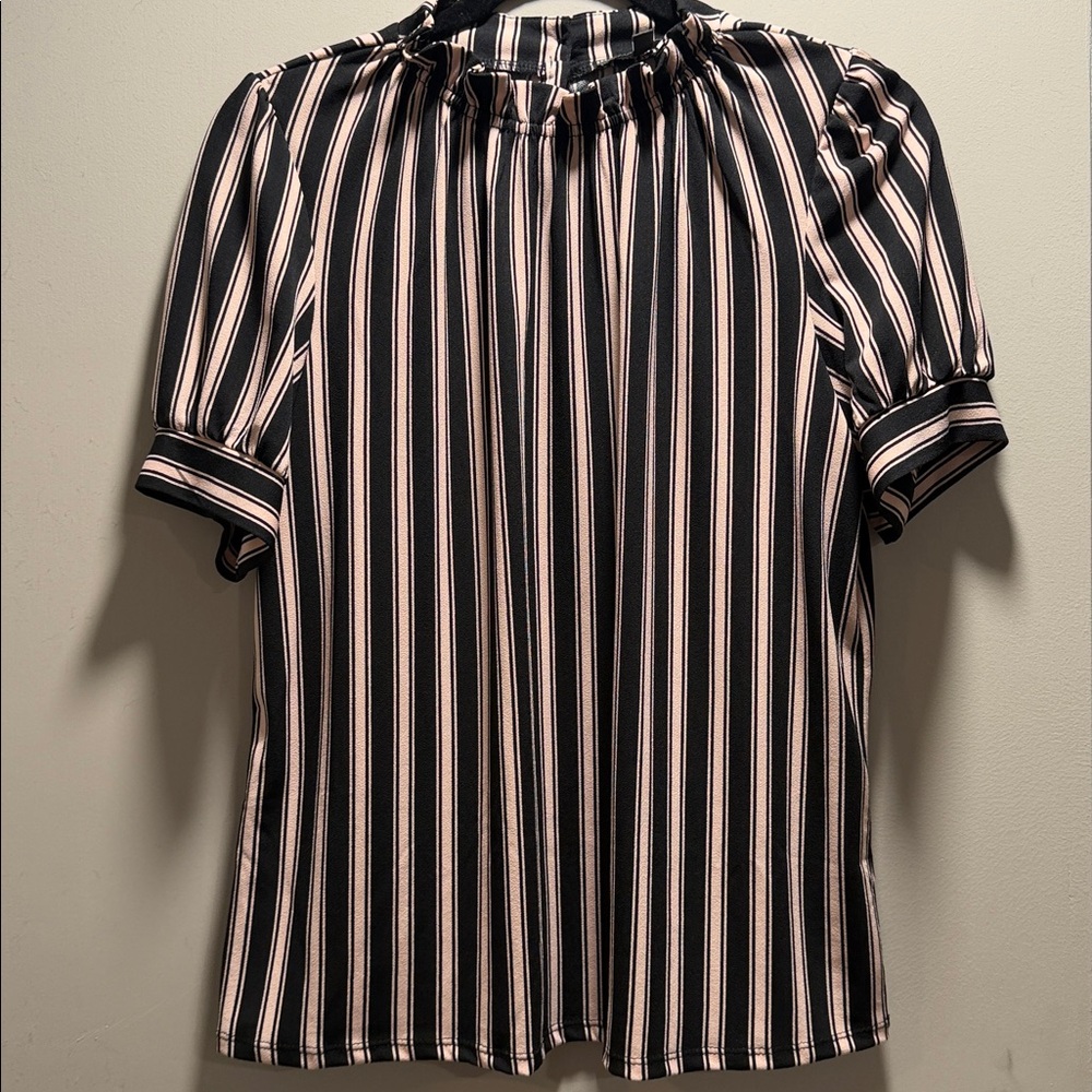Adrianna Papell Black and Pink Striped Blouse